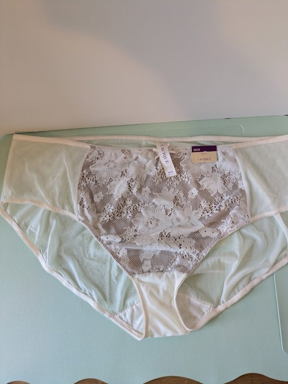 Cacique Lace Panties Size Plus 26/28 NWT